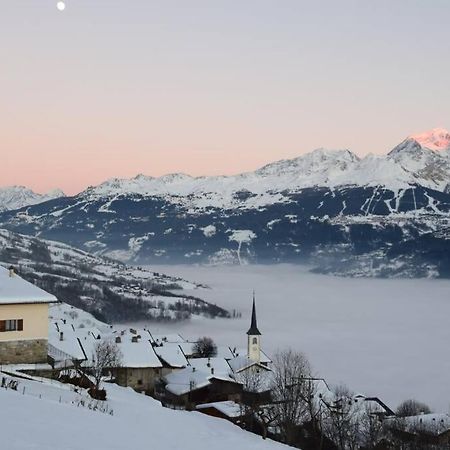 Studio Cosy Vallee De Tarentaise La Plagne Extérieur photo